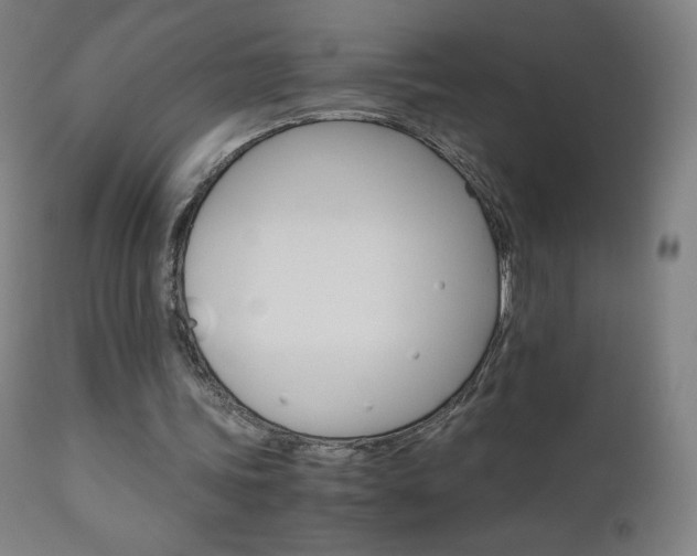 X0000110950339200906191120
