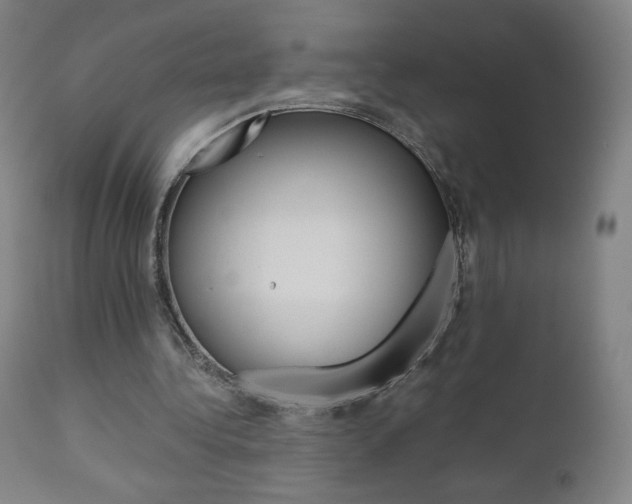 X0000110950340200906191120