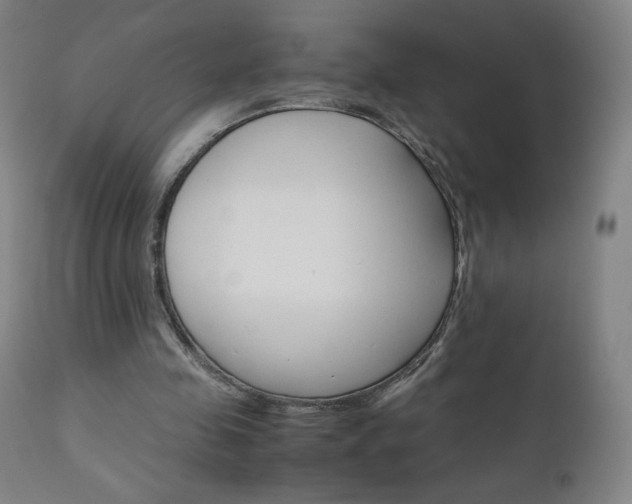 X0000110950341200906191120
