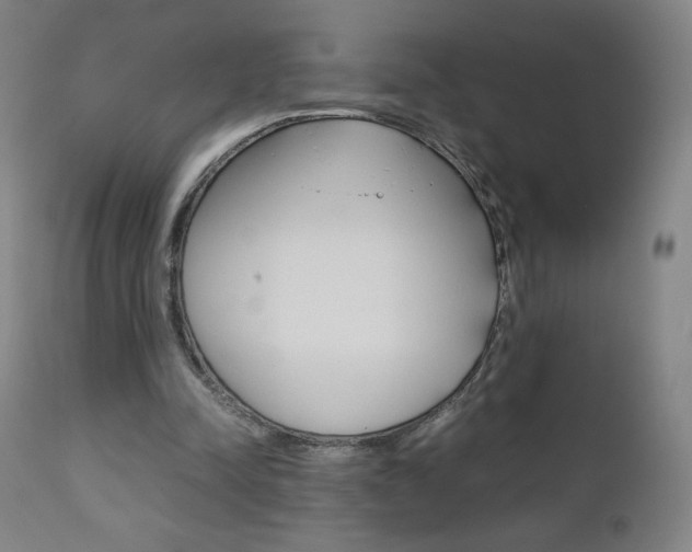 X0000110950342200906191120