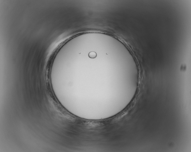 X0000110950343200906191120
