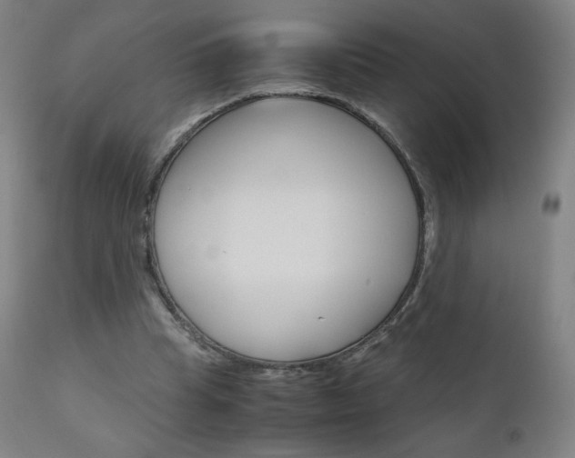 X0000110950345200906191120