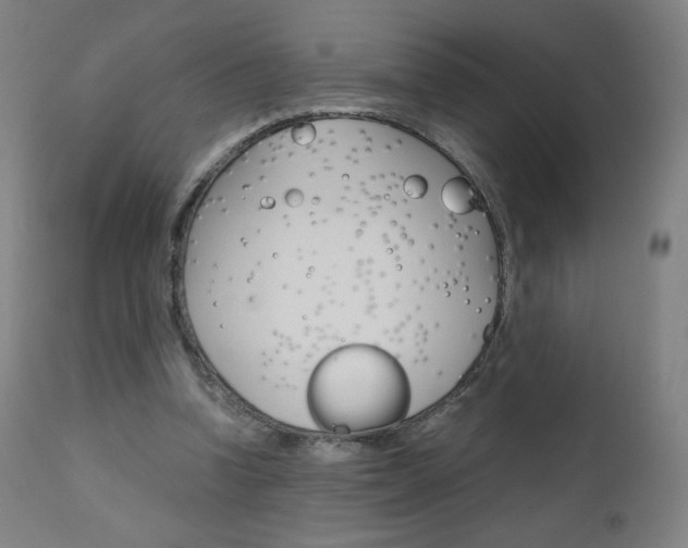 X0000110950346200906191120