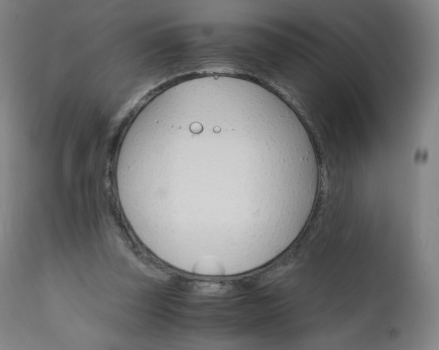 X0000110950347200906191120