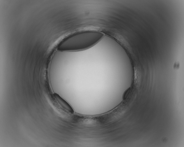 X0000110950348200906191120