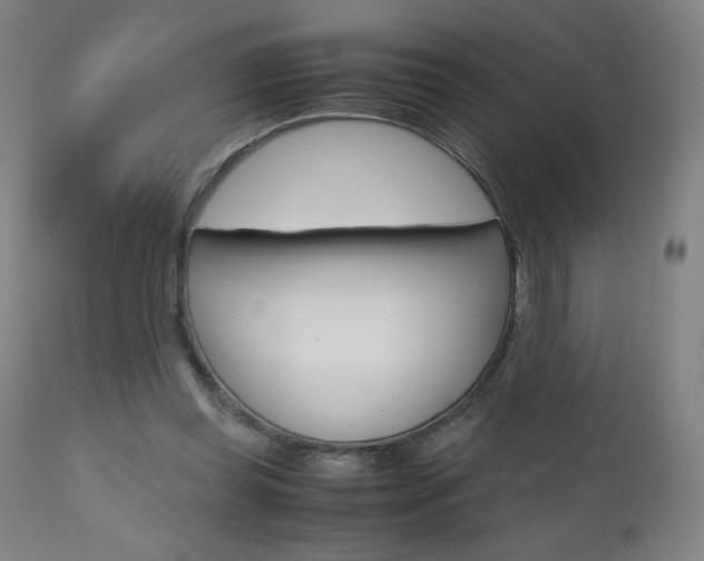 X0000110950349200906191120