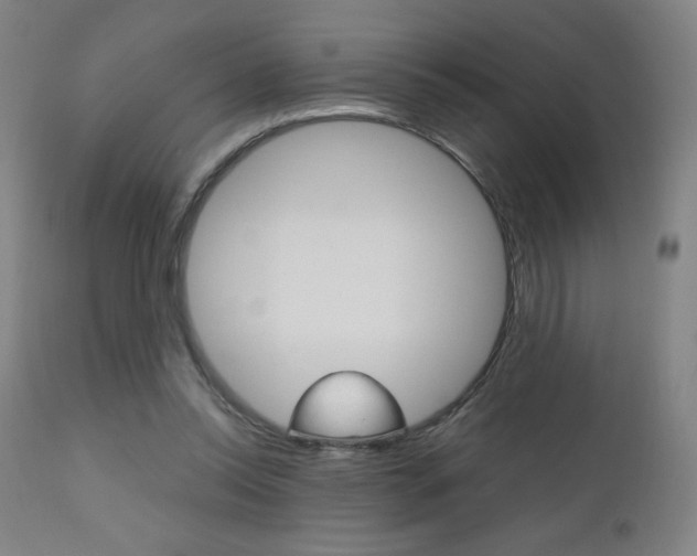 X0000110950350200906191120
