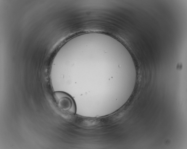 X0000110950351200906191120