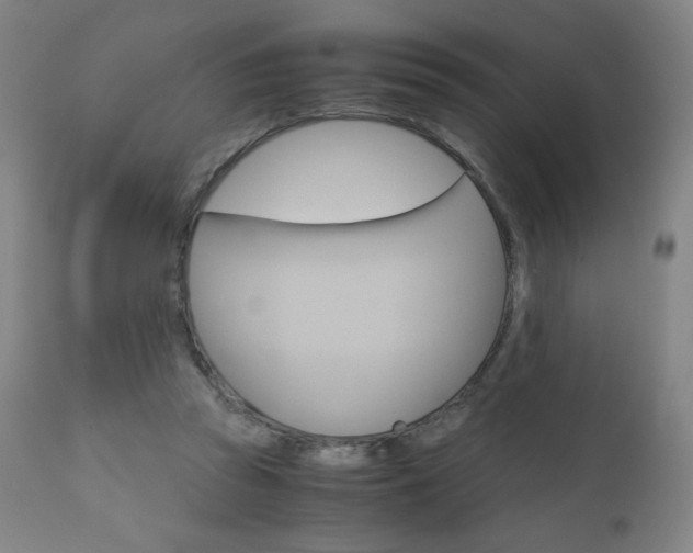 X0000110950353200906191120