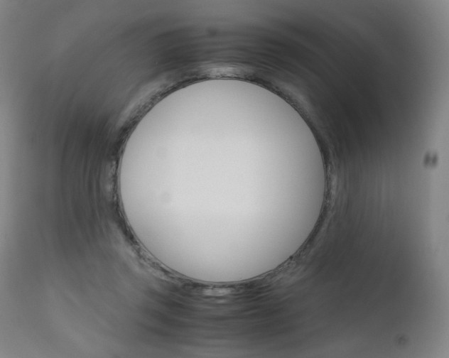 X0000110950357200906191120