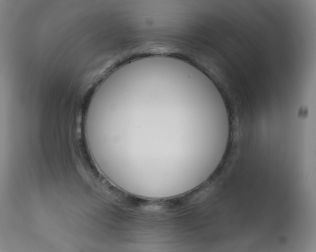 X0000110950358200906191120