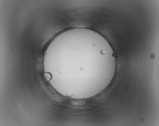 X0000110950359200906191120