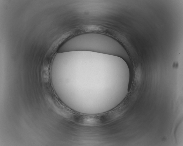 X0000110950360200906191120