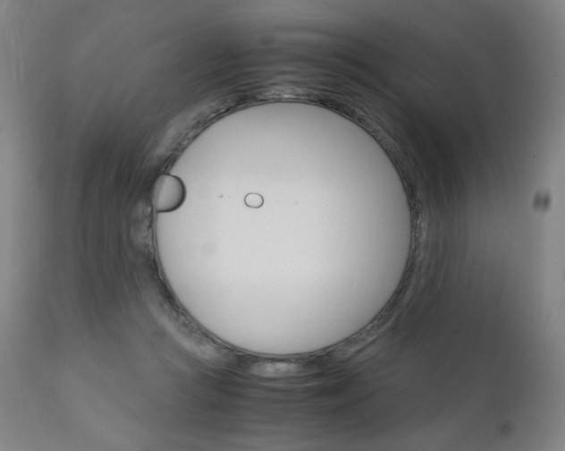 X0000110950361200906191120