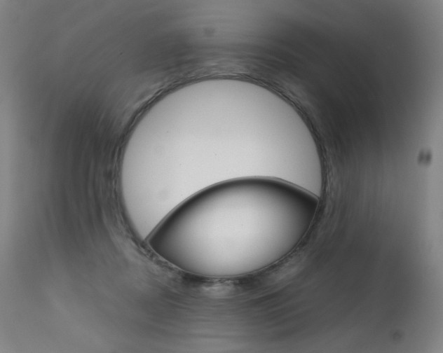 X0000110950362200906191120