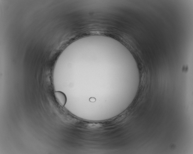 X0000110950363200906191120