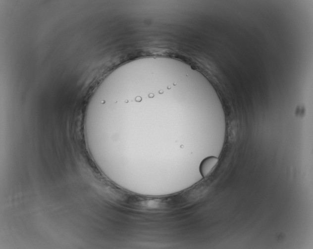 X0000110950365200906191120