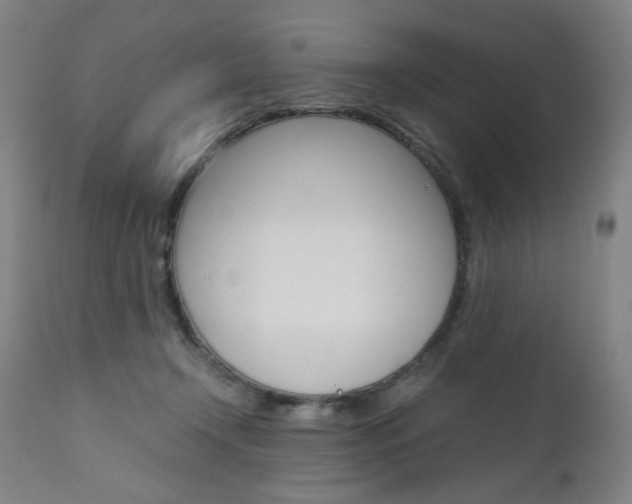 X0000110950366200906191120