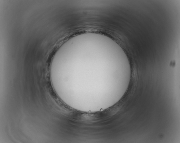 X0000110950367200906191120