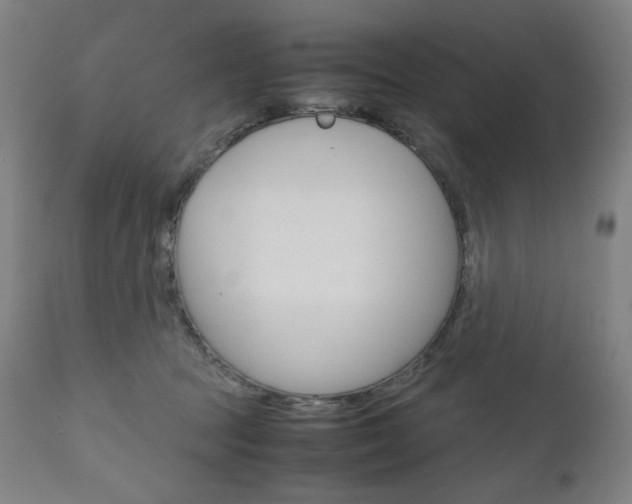 X0000110950369200906191120