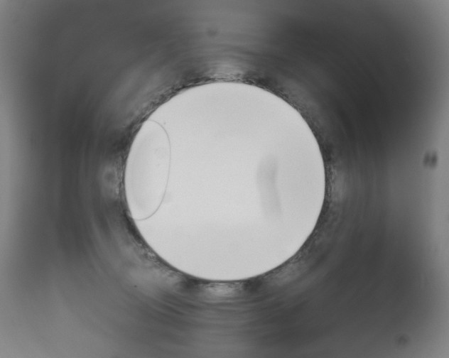 X0000110950370200906191120