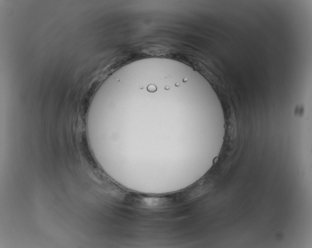 X0000110950371200906191120