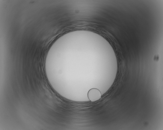 X0000110950372200906191120