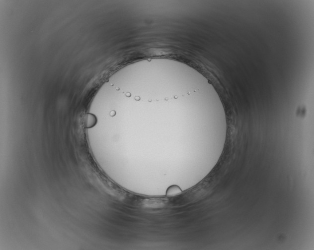 X0000110950373200906191120