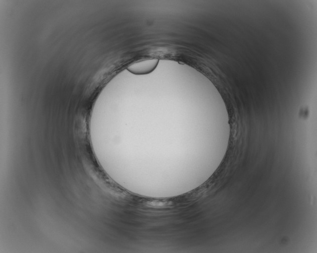 X0000110950375200906191120