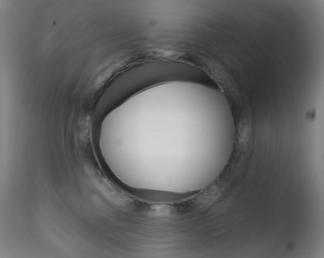 X0000110950376200906191120