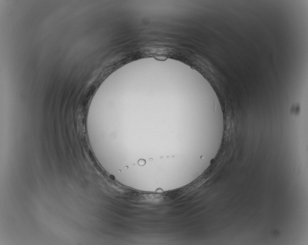 X0000110950377200906191120