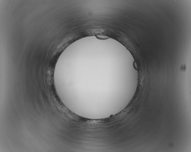 X0000110950378200906191120
