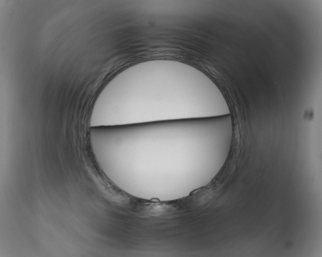 X0000110950379200906191120
