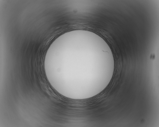 X0000110950380200906191120
