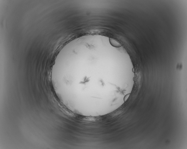 X0000110950381200906191120