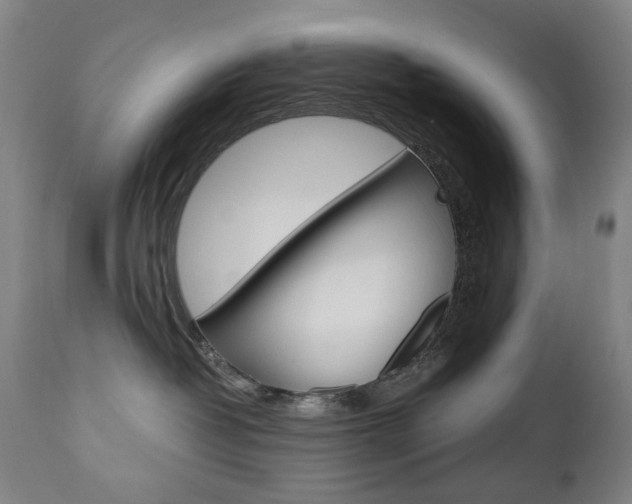X0000110950382200906191121
