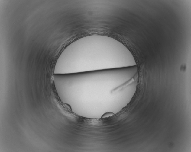 X0000110950383200906191121