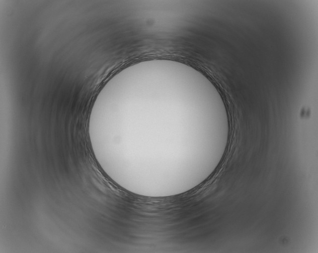 X0000110950384200906191121