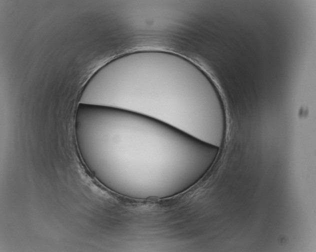 X0000110950385200906191120