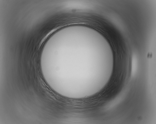 X0000110950387200906191120
