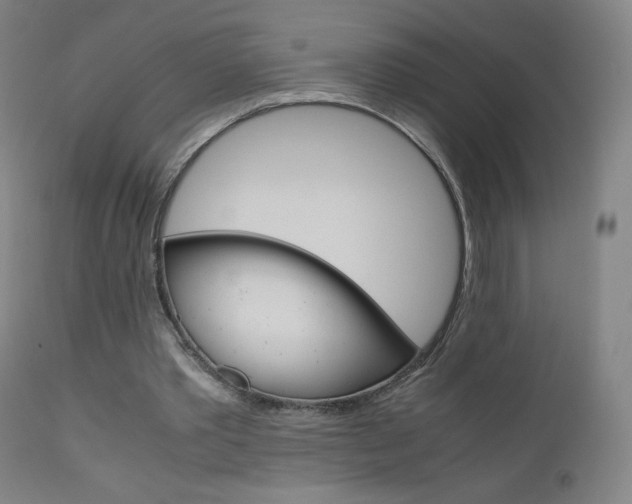 X0000110950389200906191120