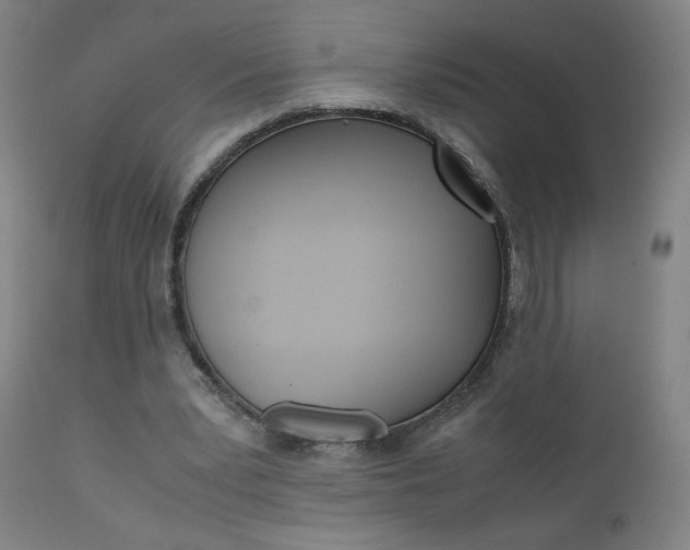 X0000110950391200906191120