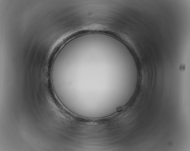 X0000110950392200906191120