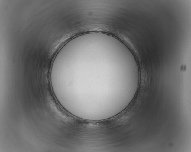 X0000110950394200906191120
