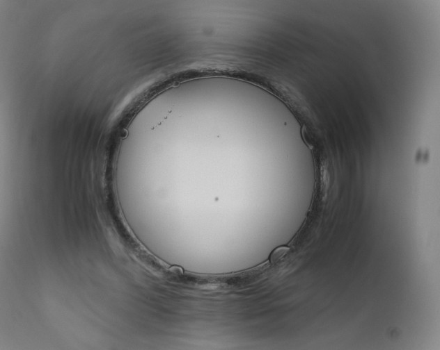 X0000110950396200906191120