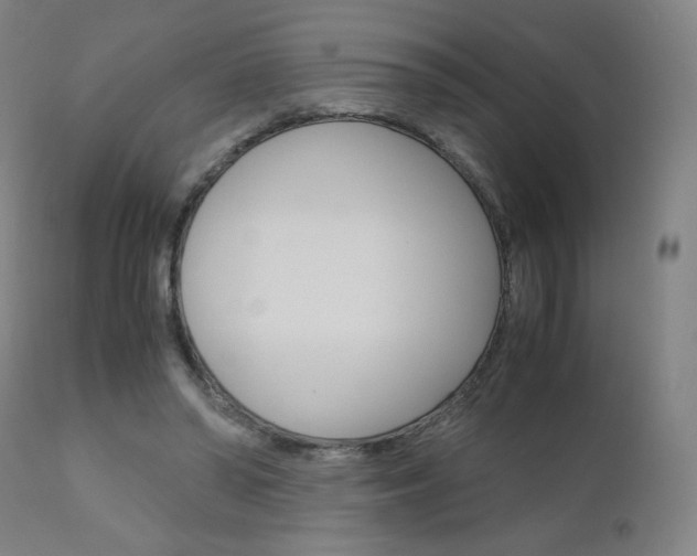 X0000110950398200906191120