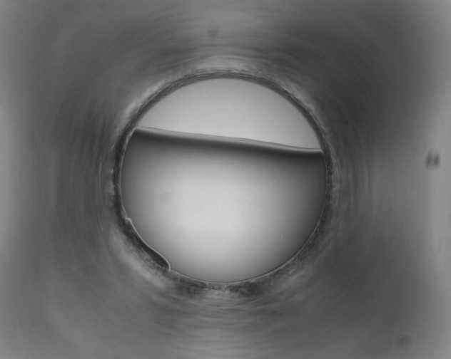 X0000110950399200906191120