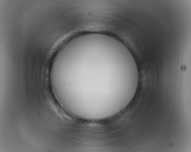 X0000110950400200906191119