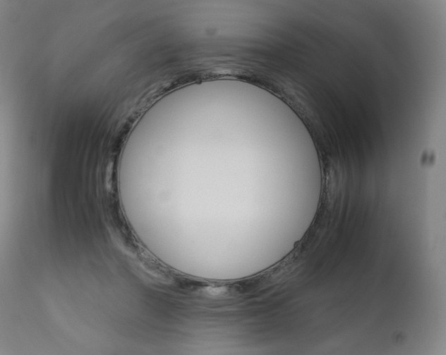 X0000110950406200906191119