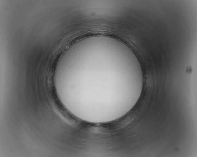X0000110950408200906191119